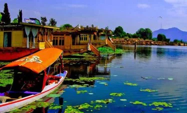 Srinagar Trip
