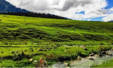 Delightful Kashmir